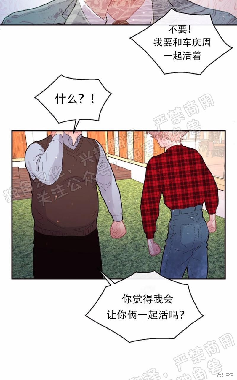 42.jpg