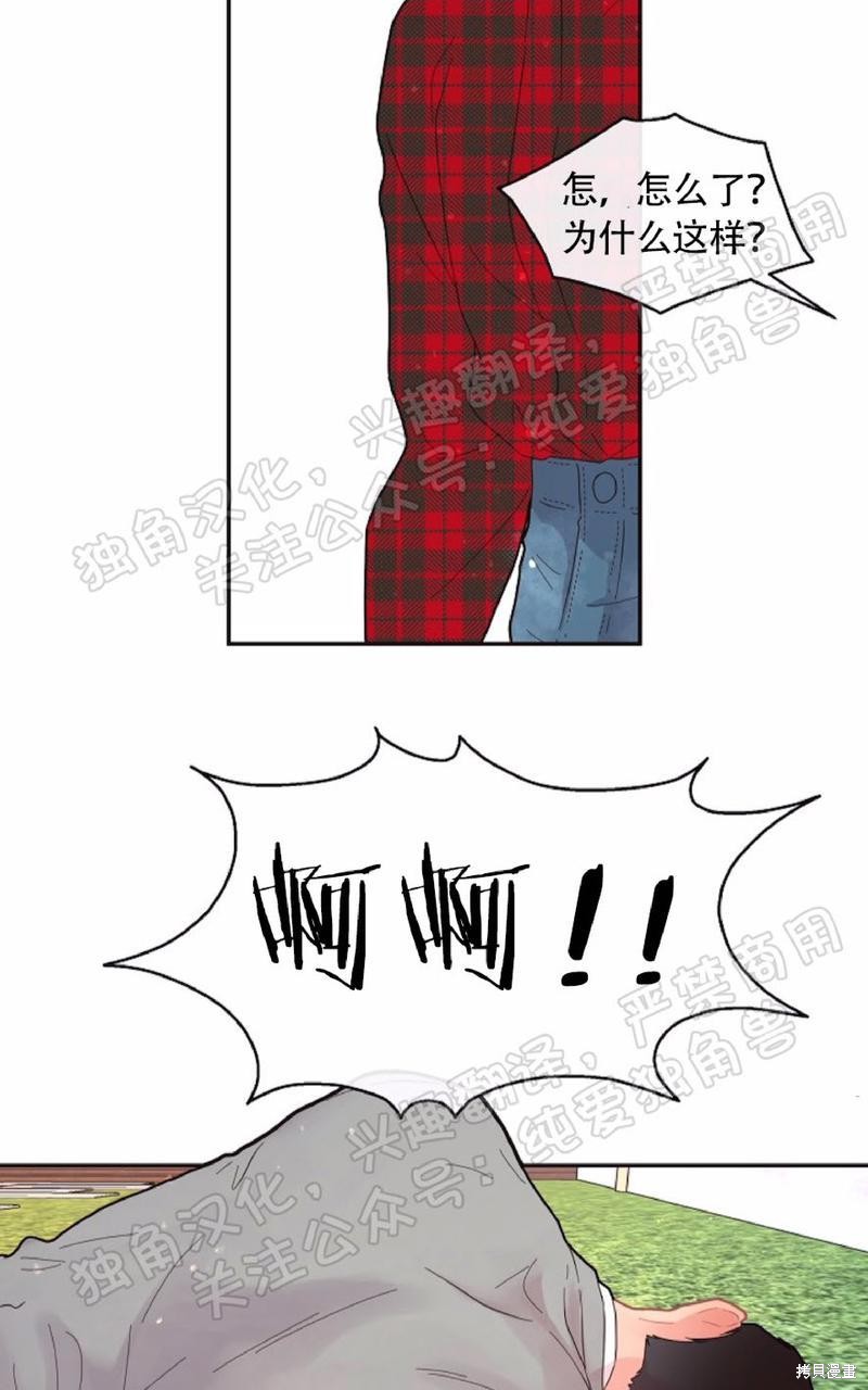 49.jpg