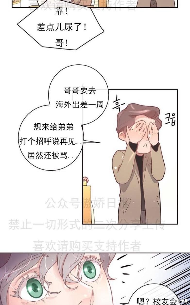 41.jpg
