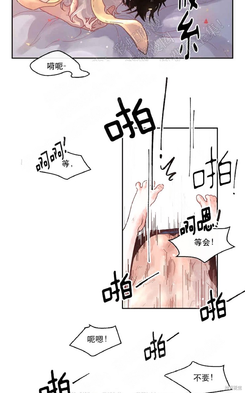 29.jpg