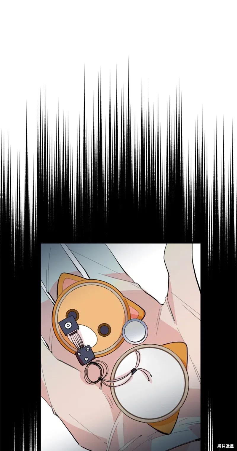 47.jpg