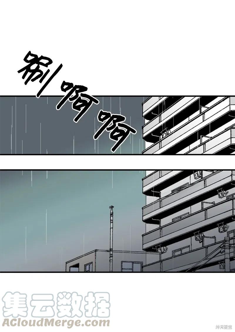 49.jpg