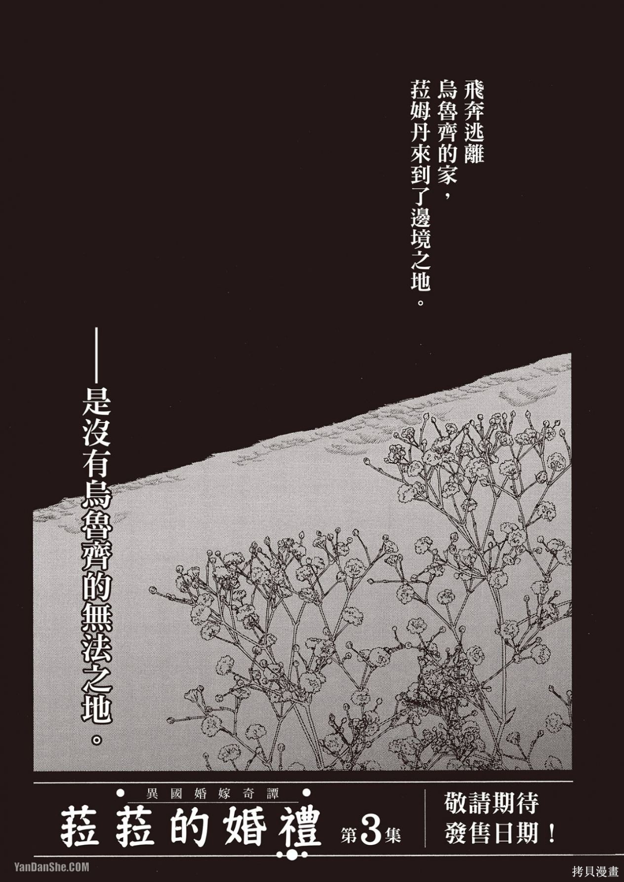 186.jpg