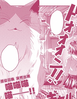 辣妹魔女与猫