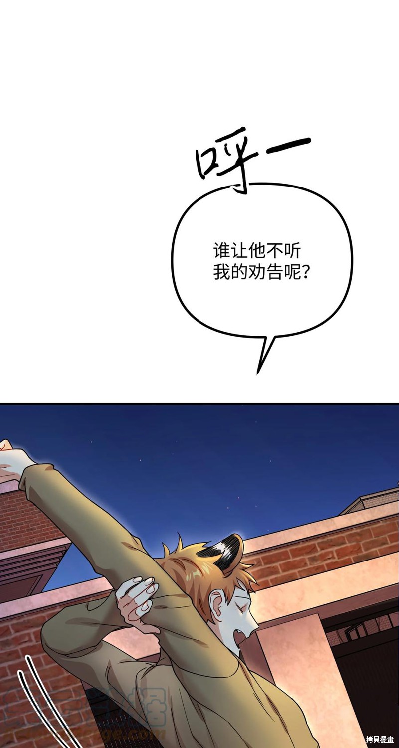 37.jpg