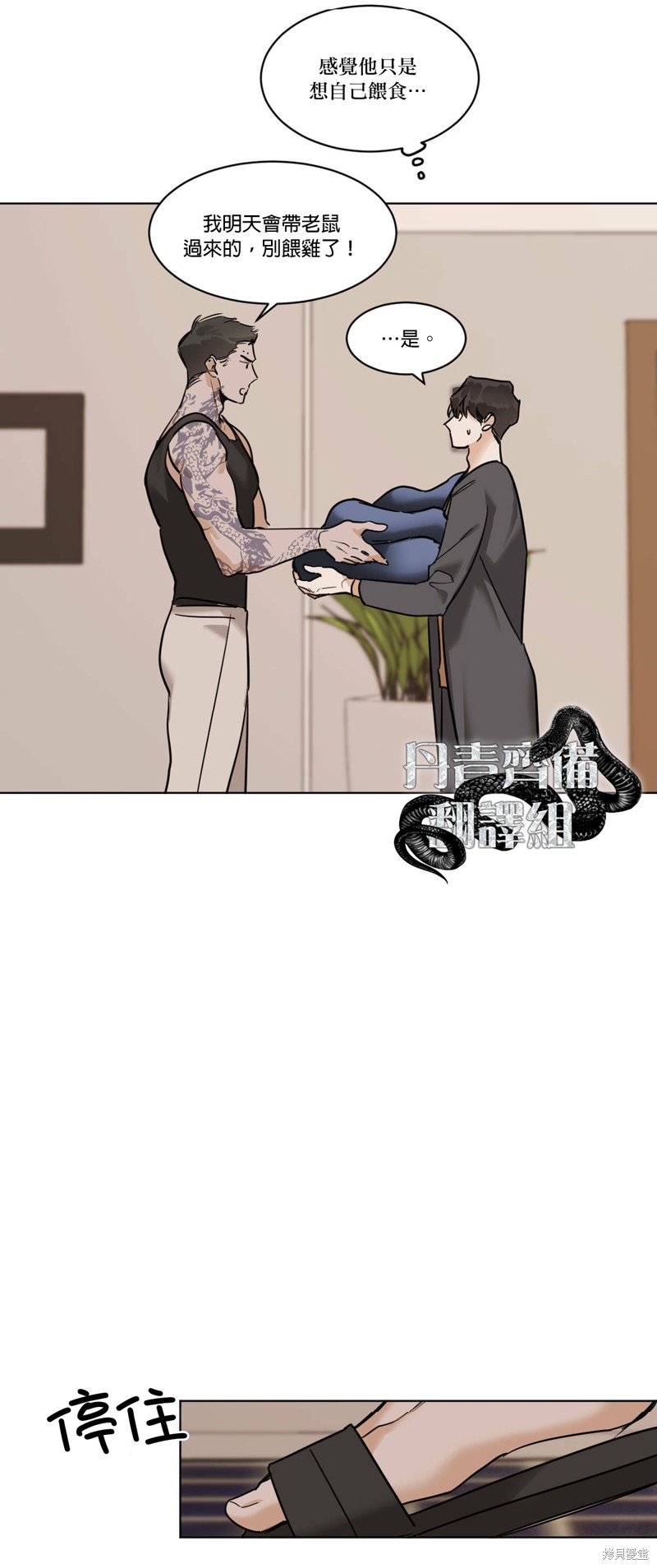 26.jpg