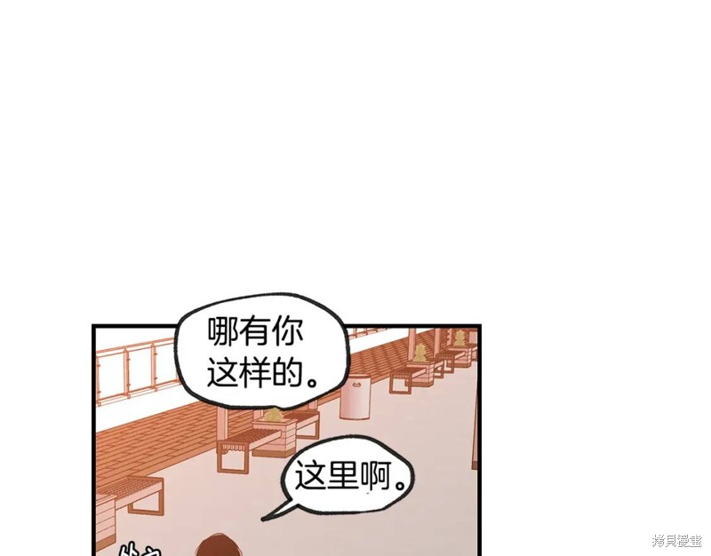 137.jpg
