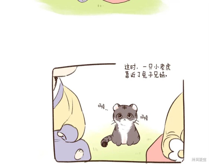 15.jpg