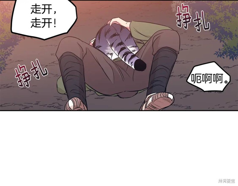53.jpg