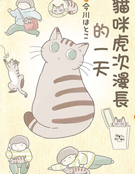 猫咪虎次漫长的一天