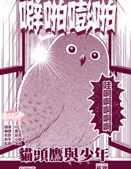 猫头鹰与少年