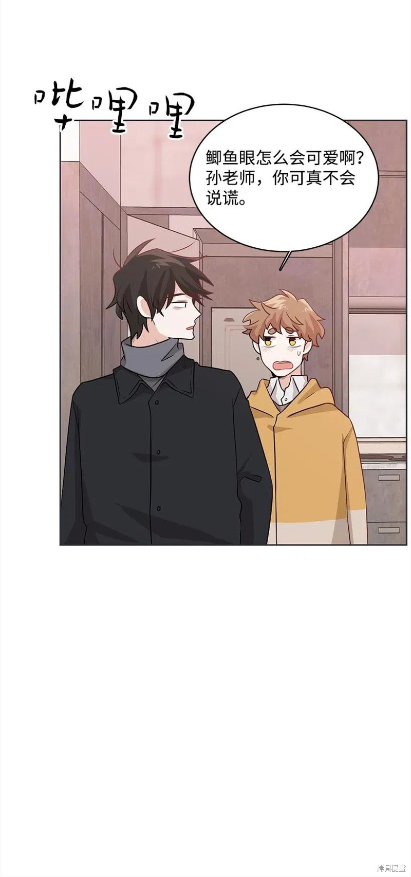 51.jpg