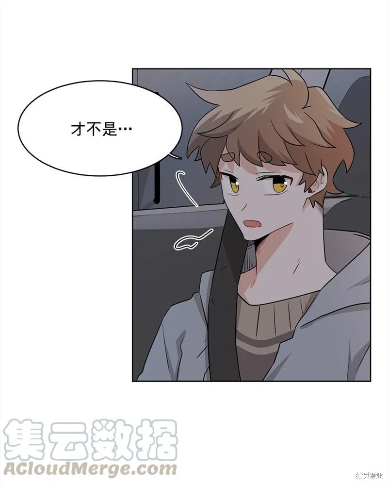 41.jpg
