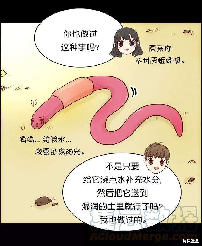 17.jpg
