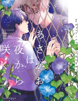 牵牛花自夜间绽放