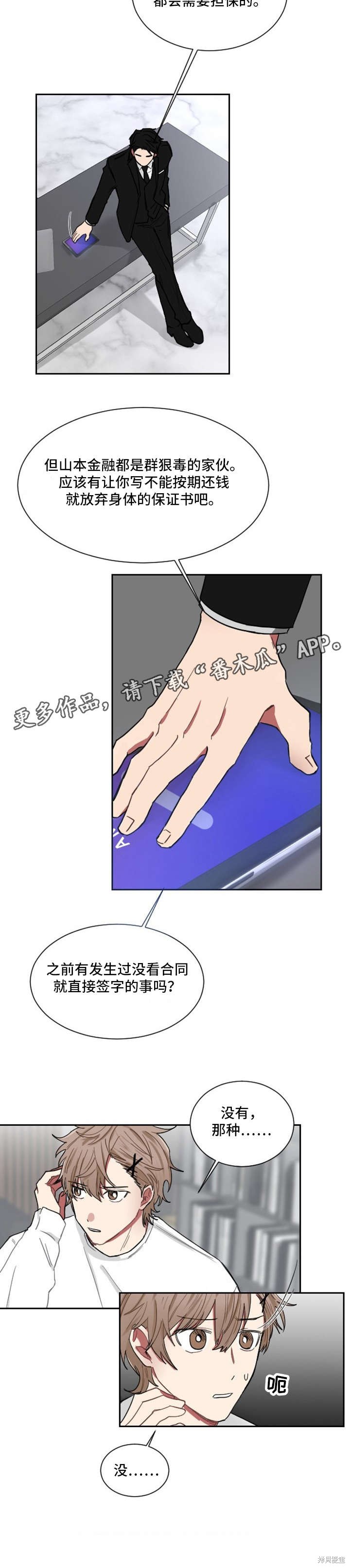 5.jpg