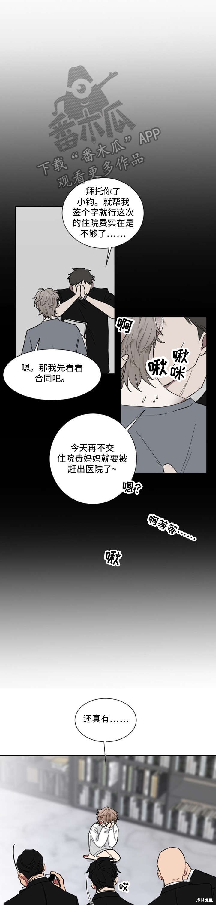 6.jpg