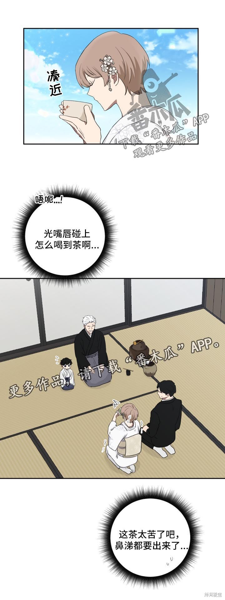 11.jpg