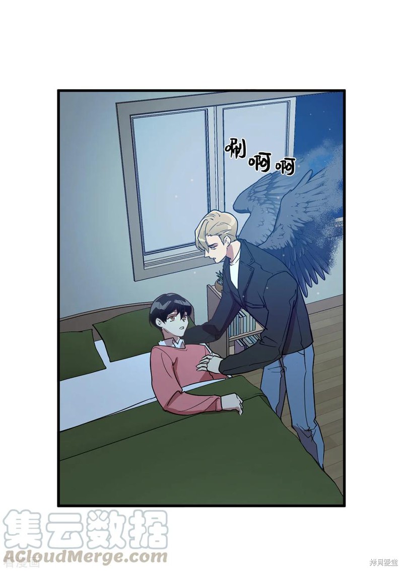 27.jpg