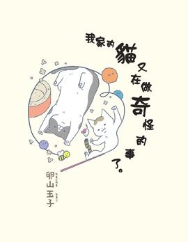 我家的猫又在做奇怪的事了