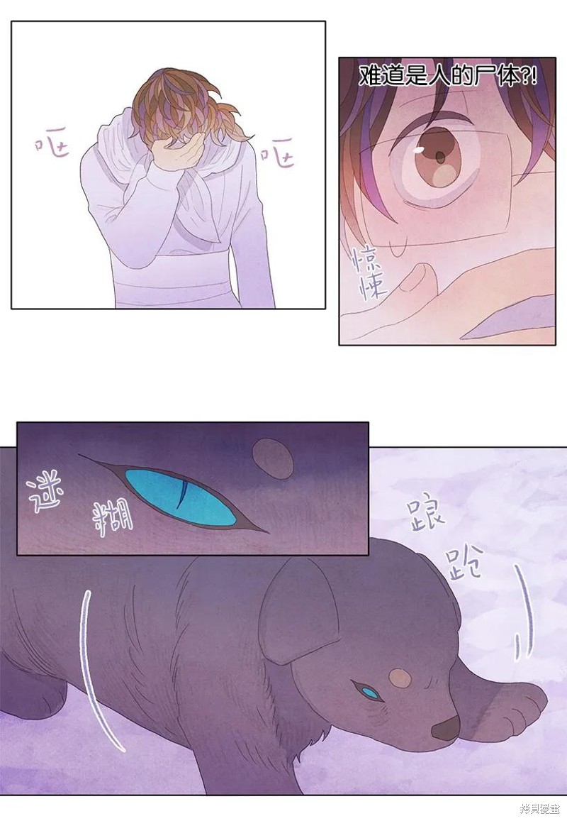 21.jpg