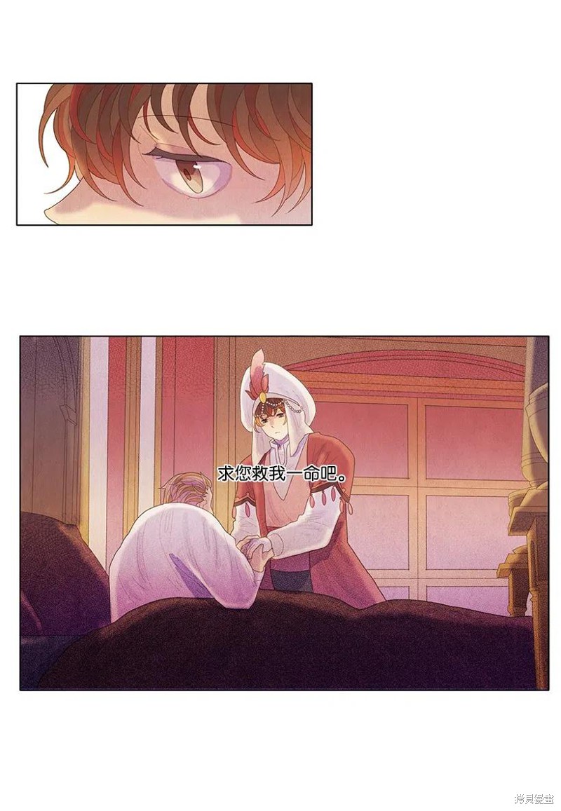 12.jpg