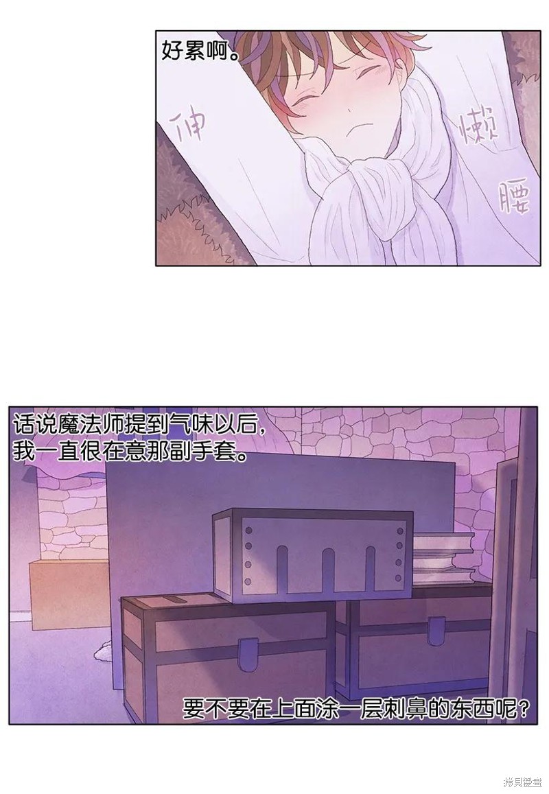 15.jpg