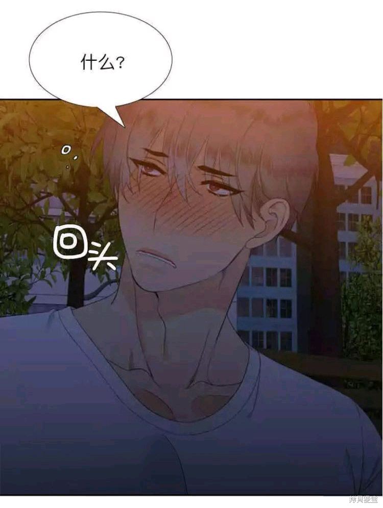 73.jpg