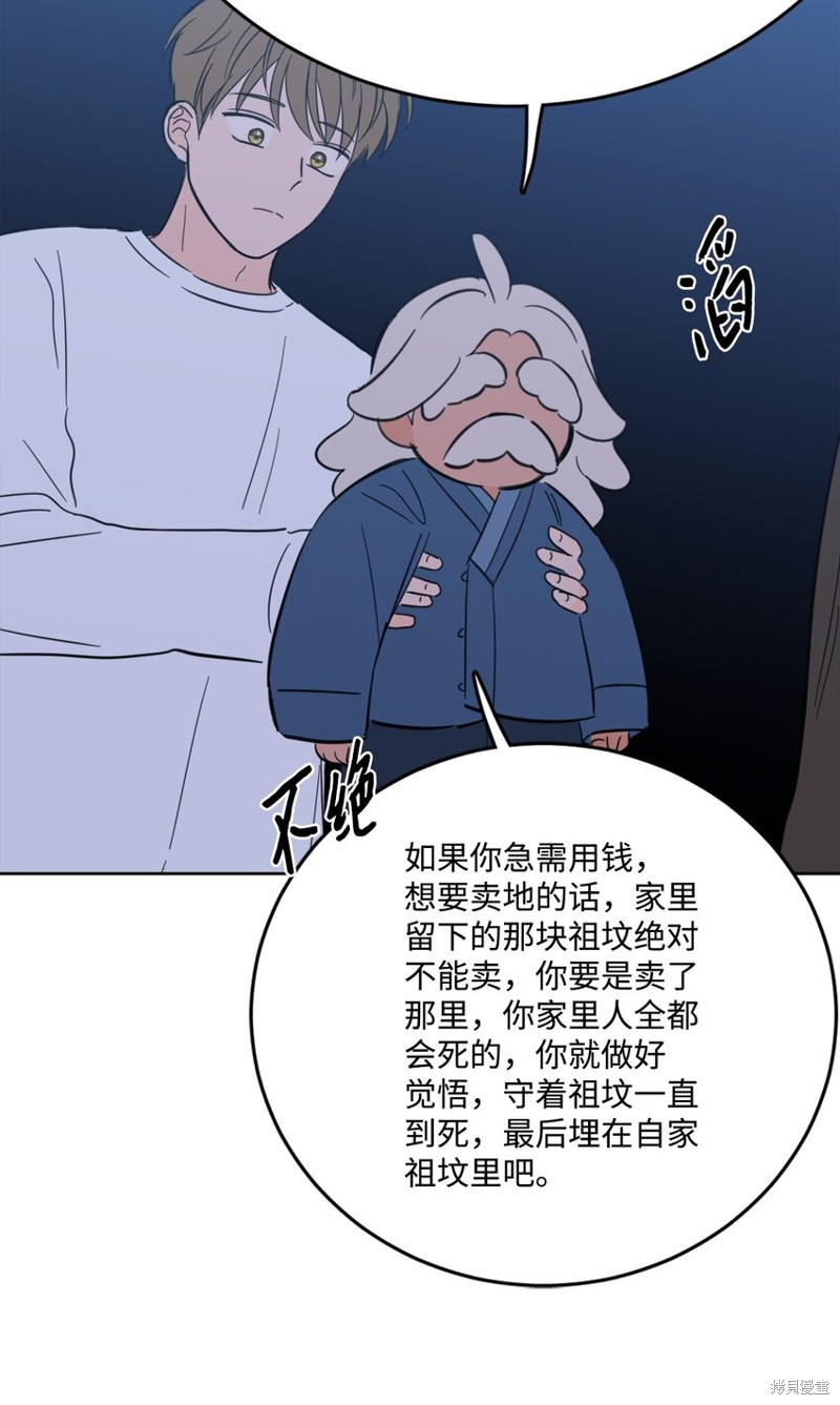 41.jpg