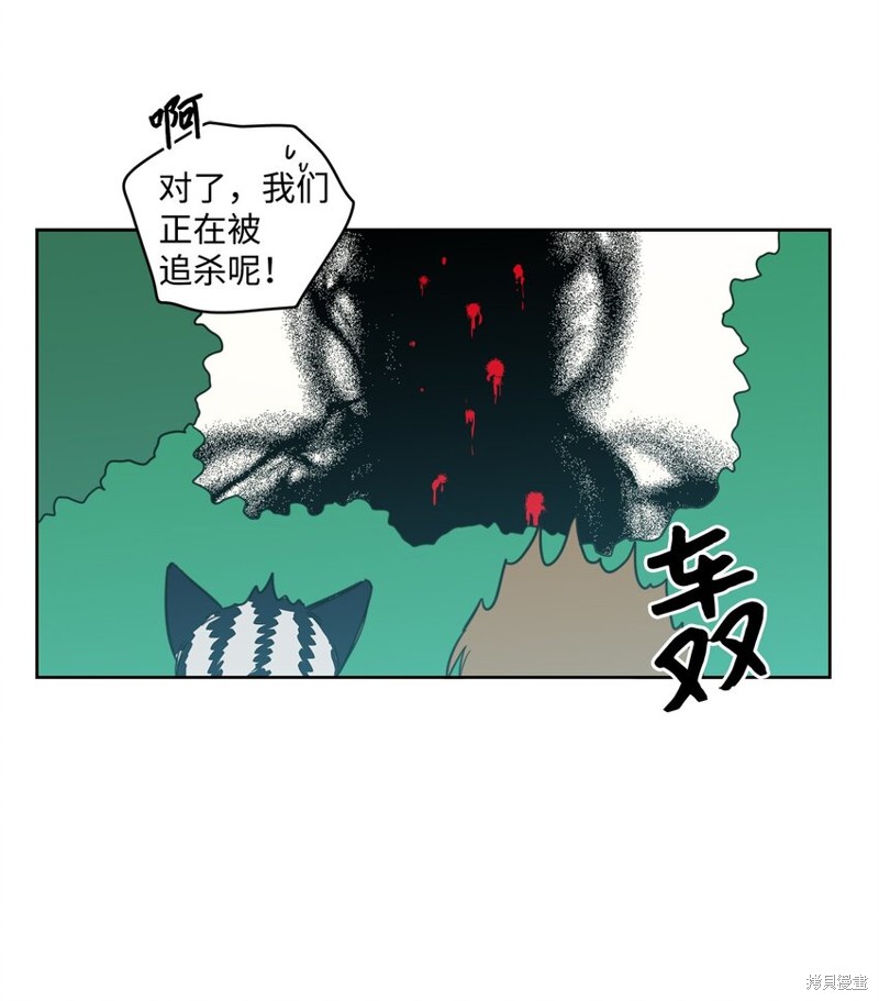 37.jpg