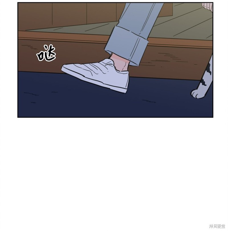 48.jpg