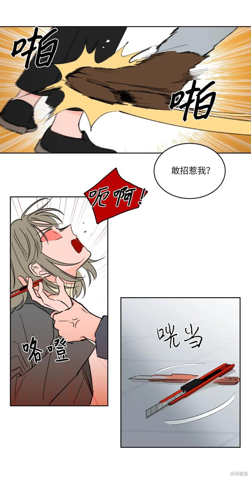 17.jpg