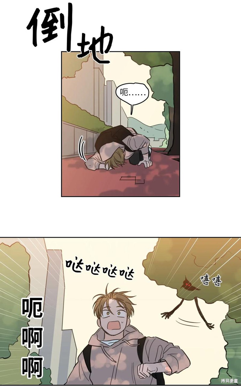 35.jpg