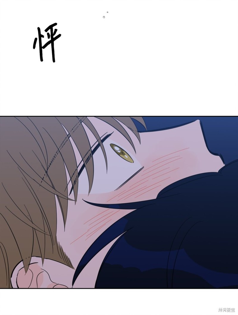 45.jpg