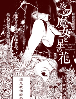 夜之魔女星之花