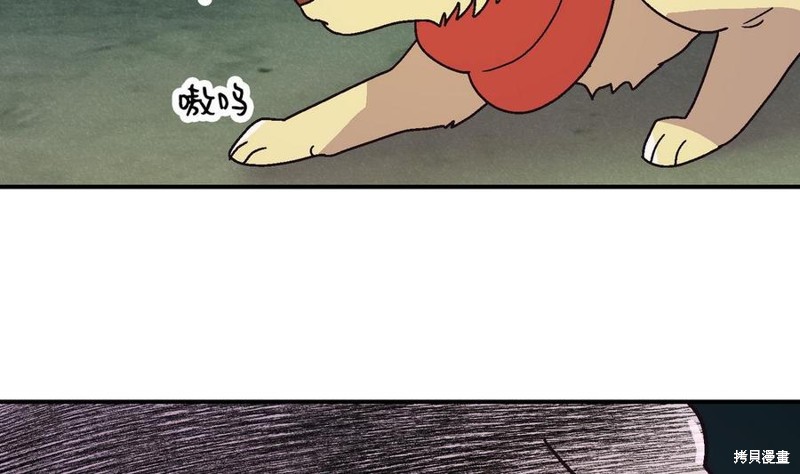 62.jpg