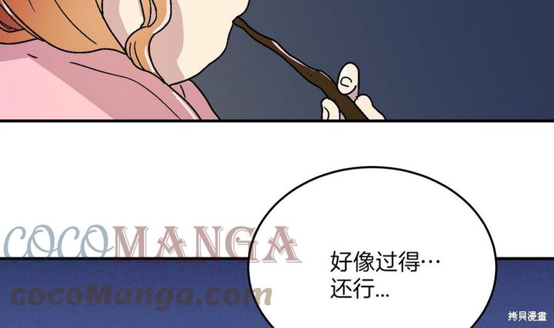 41.jpg