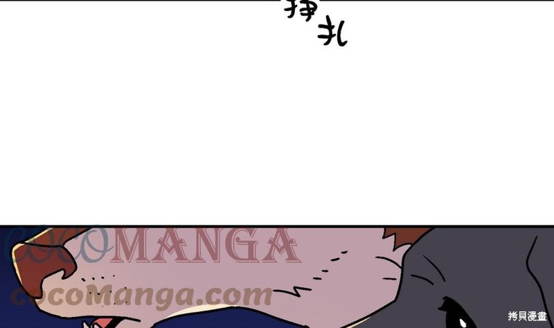 65.jpg