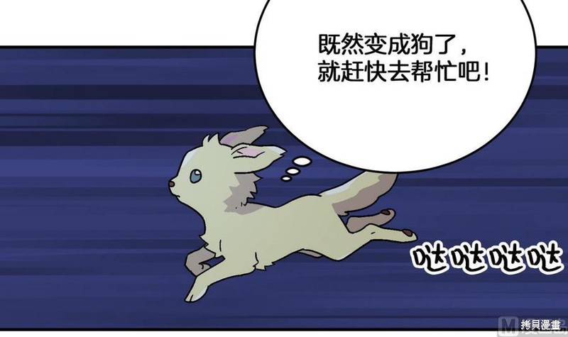 72.jpg