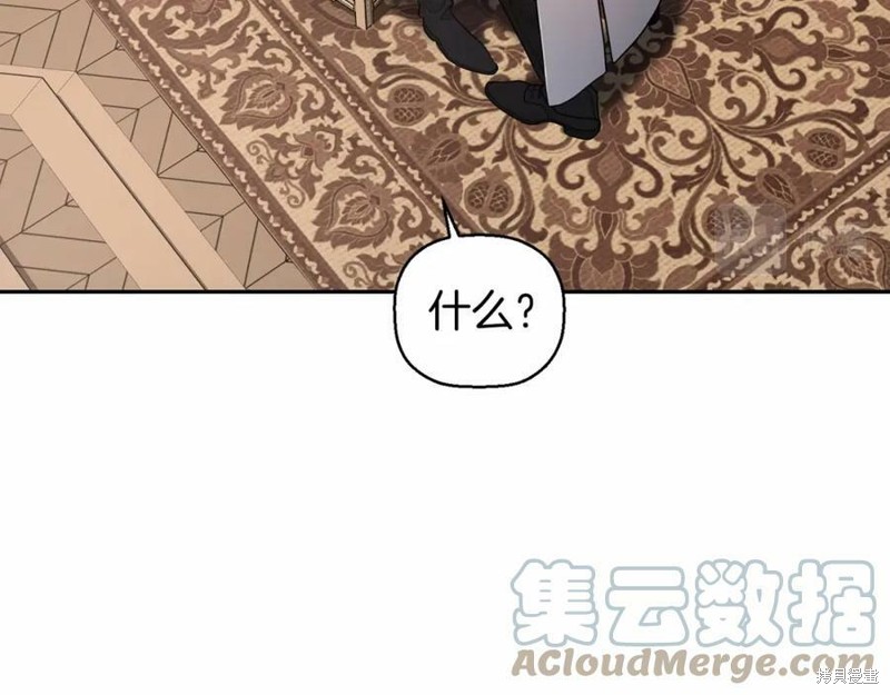 137.jpg