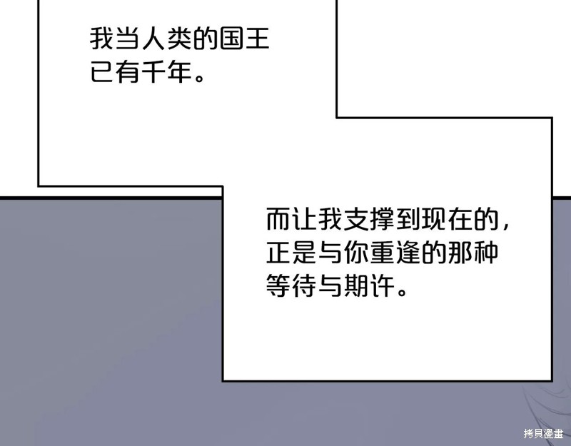 290.jpg