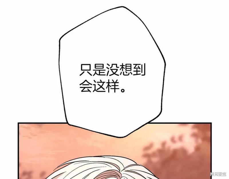 254.jpg