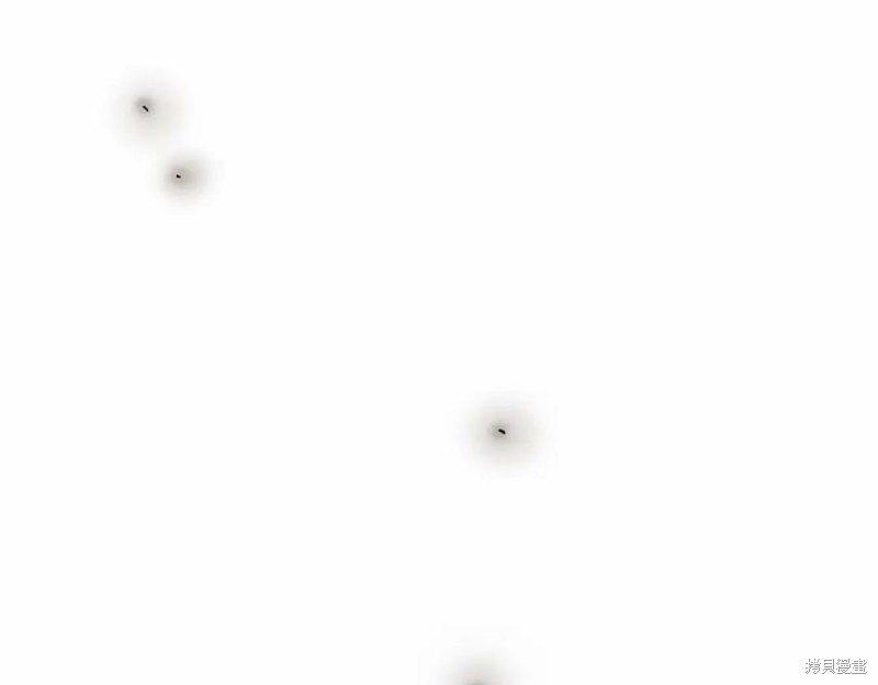 91.jpg