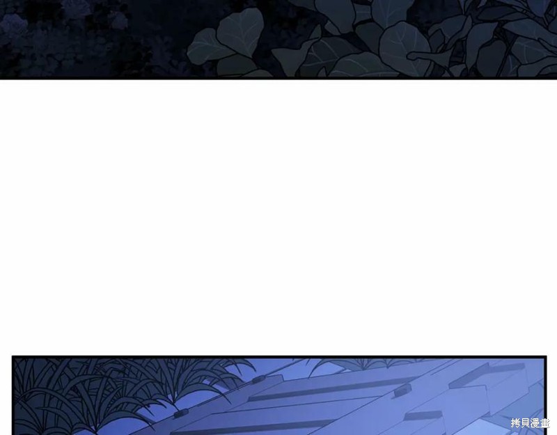 232.jpg