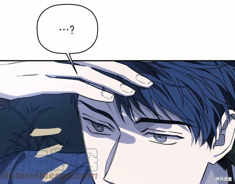 241.jpg