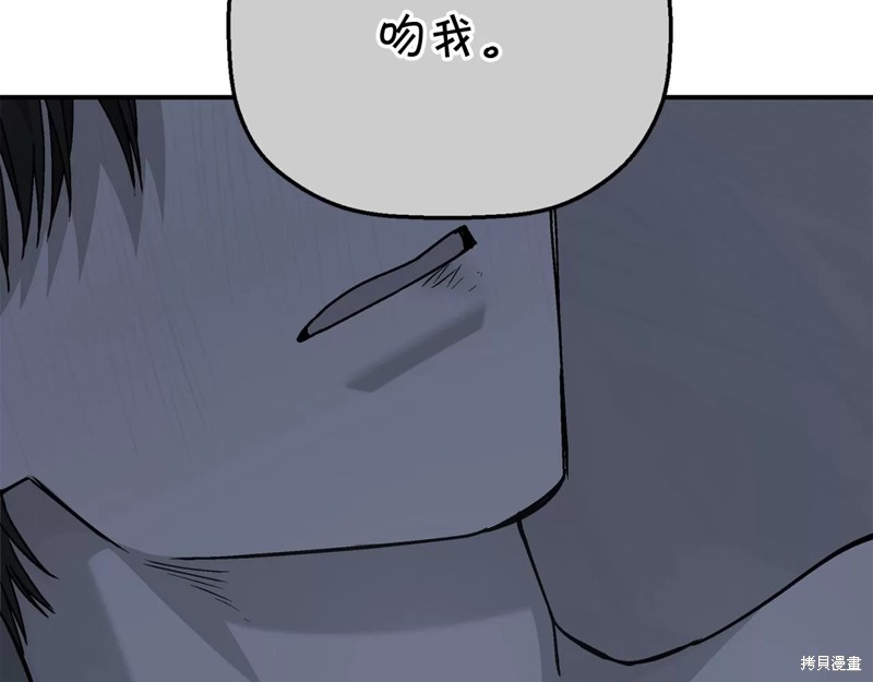 223.jpg
