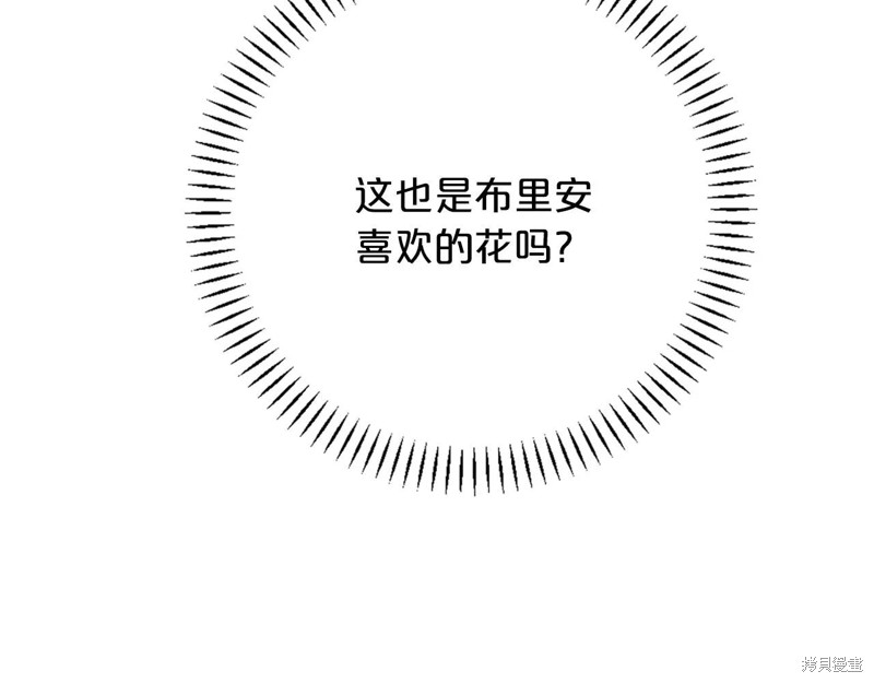 81.jpg