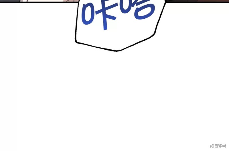 95.jpg