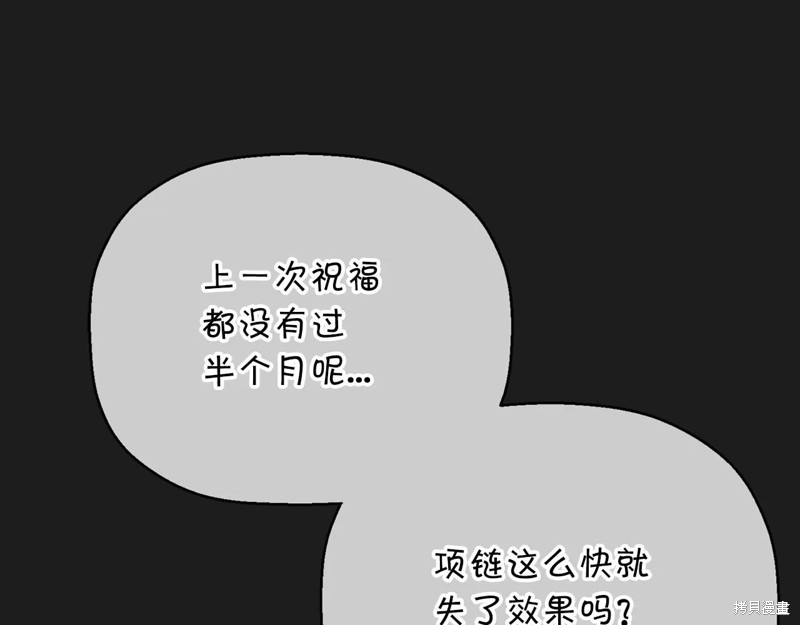 102.jpg