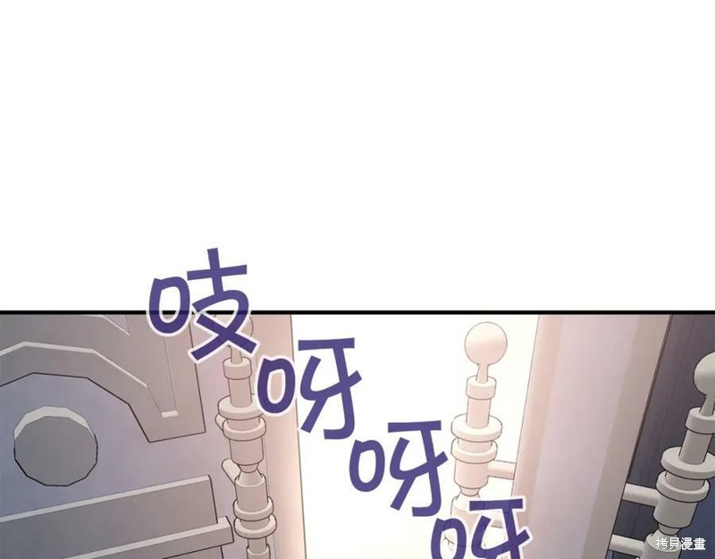 291.jpg